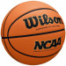 Мяч баскетбольный Wilson Evo Nxt Replica WZ2007701XB р.7 75_75