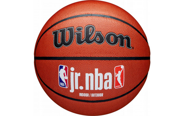 Мяч баскетбольный Wilson JR.NBA Fam Logo Indoor Outdoor WZ2009801XB7 р.7 600_380