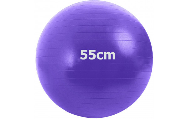 Мяч гимнастический Anti-Burstl d55 см Sportex GMA-55-D фиолетовый 600_380