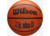 Мяч баскетбольный Wilson JR NBA DRV Fam Logo WZ3013001XB6 р.6