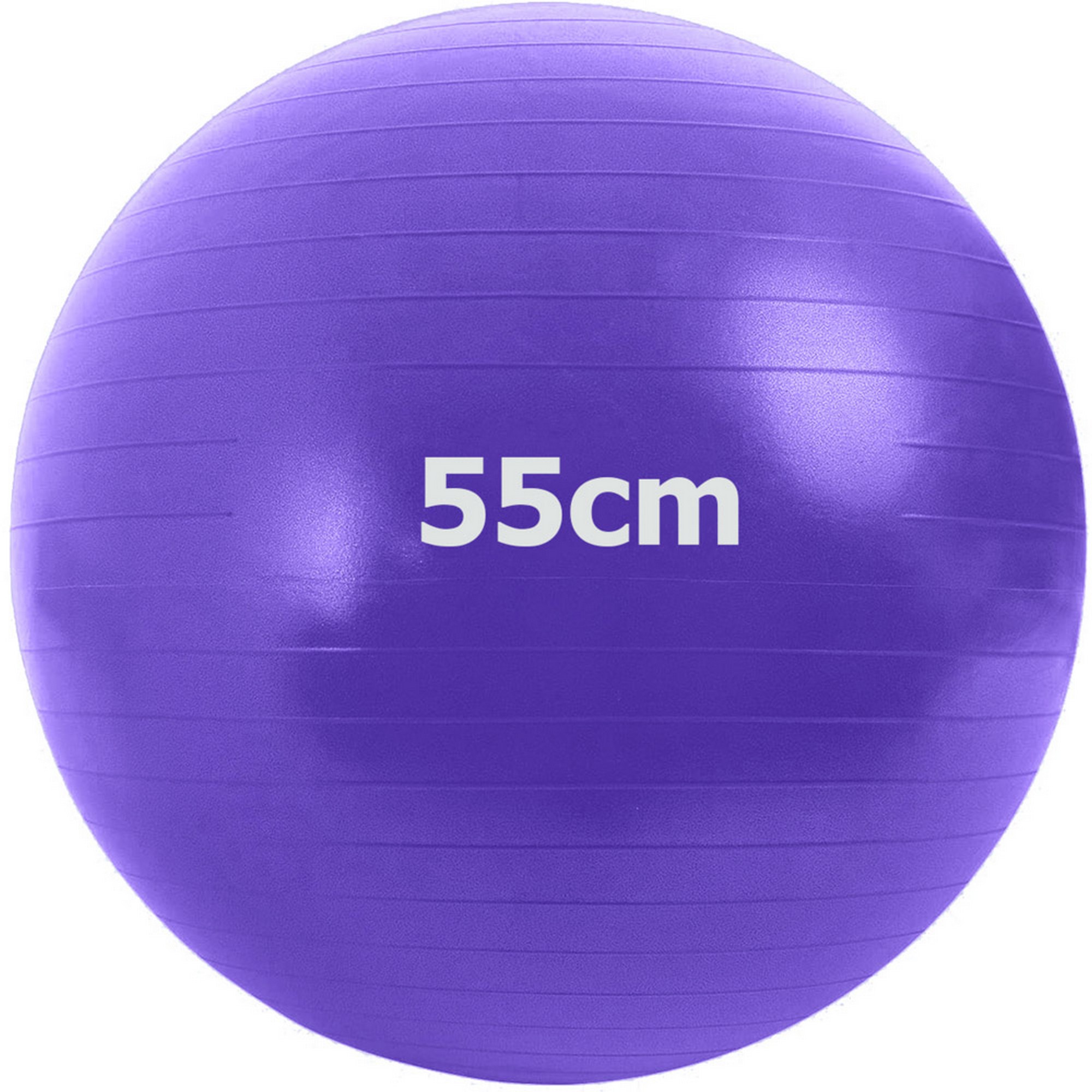 Мяч гимнастический Anti-Burstl d55 см Sportex GMA-55-D фиолетовый 2000_2000