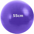 Мяч гимнастический Anti-Burstl d55 см Sportex GMA-55-D фиолетовый 120_120