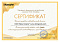 Сертификат на товар Детский Вигвам Honey Village Kampfer 60823